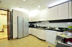 Nassim Jade (D10), Condominium #502159081